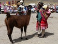 Peruvian woman in traditional clothing on the pass of Abra la Raya, Peru