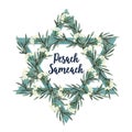 Pesach Passover greeting card with Jewish star, hand drawn olive branches and flowers. Vector illustration background.