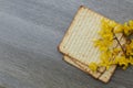 Pesach Still-life with and matzoh jewish passover bread