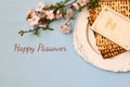 Pesah celebration concept & x28;jewish Passover holiday& x29; Royalty Free Stock Photo