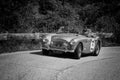 AUSTIN HEALEY 100/4 BN2 1955 on an old racing car in rally Mille Miglia 2018 the famous italian historical race 1927-1957