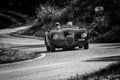 JAGUAR C-TYPE 1952 on an old racing car in rally Mille Miglia 2018 the famous italian historical race 1927-1957 Royalty Free Stock Photo