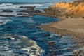 Pescadero Beach Royalty Free Stock Photo