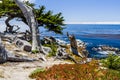 Pescadero Point at 17 Mile Drive in Big Sur California Royalty Free Stock Photo