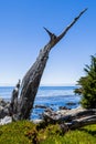 Pescadero Point at 17 Mile Drive in Big Sur California Royalty Free Stock Photo