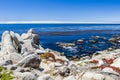 Pescadero Point at 17 Mile Drive in Big Sur California Royalty Free Stock Photo