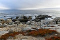 Pescadero Point - Pebble Beach, California Royalty Free Stock Photo