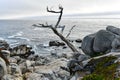 Pescadero Point - Pebble Beach, California Royalty Free Stock Photo