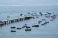 Pescadores Beach, Chorrillos, Lima, Peru.