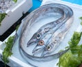 pesce bandiera at fish market Royalty Free Stock Photo