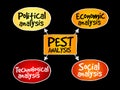 PEST analysis mind map