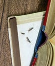 Pest books and newspapers. Insect feeding on paper - silverfish of several pieces near the open book Royalty Free Stock Photo