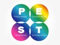 Pest Business Infographic presentation diagram