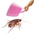 Pest Cockroach Fly Swatter