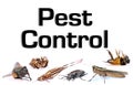 Pest control Royalty Free Stock Photo