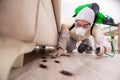 The pest control contractor working in the flat Royalty Free Stock Photo