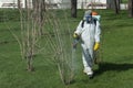Pest control expert spraying pesticide on small tree in a garden