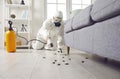 Pest control exterminator in protective suit killing cockroaches crawling of floor at home Royalty Free Stock Photo