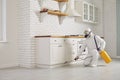 Pest control exterminator spraying chemical to get rid of insects inside the house Royalty Free Stock Photo