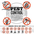 Pest Control Infographics Royalty Free Stock Photo