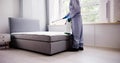 Pest Control Service. Bug Bed Treatment Royalty Free Stock Photo