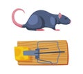 Pest Control with Trap and Cheese for Rat Rodent Vector Set