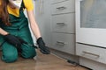 Pest control worker spraying pesticide in kitchen Royalty Free Stock Photo