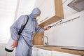Pest Control Worker Spraying Pesticide In Kitchen Royalty Free Stock Photo