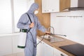 Pest Control Worker Spraying Pesticide In Kitchen Royalty Free Stock Photo