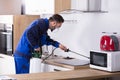 Pest Control Worker Spraying Pesticide In Kitchen Royalty Free Stock Photo