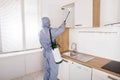 Pest Control Worker Spraying Pesticide On Shelf Royalty Free Stock Photo