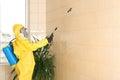 Pest control worker spraying pesticide on wall. Space for text Royalty Free Stock Photo