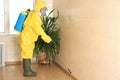 Pest control worker spraying pesticide on wall. Space for text Royalty Free Stock Photo