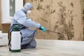 Pest Control Worker Spraying Pesticide On Wall Royalty Free Stock Photo