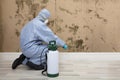 Pest Control Worker Spraying Pesticide On Wall With Sprayer Royalty Free Stock Photo