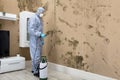 Pest Control Worker Spraying Pesticide On Wall Royalty Free Stock Photo