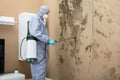 Pest Control Worker Spraying Pesticide On Wall Royalty Free Stock Photo