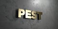 Pest - Gold sign mounted on glossy marble wall - 3D rendered royalty free stock illustration