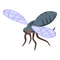 Pest insect icon isometric vector.Mosquito bug