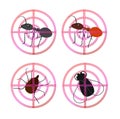 Pest insect icons set Royalty Free Stock Photo