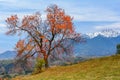 Pestera village,Romania:Autumn landscape with the Bucegi mountains