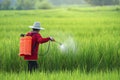 Pesticide,Farmers spraying pesticide in rice field wearing protective clothing