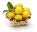 Pesticide free organic lemons