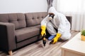 sofa termite kill insect control exterminator cockroach pest uniform pesticide. Generative AI.