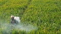 Pesticide spray
