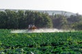 Pesticide sprayer tractor field farmer vegetables cabbage harvest greens Royalty Free Stock Photo