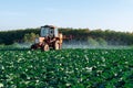 Pesticide sprayer tractor field farmer vegetables cabbage harvest greens Royalty Free Stock Photo