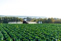 Pesticide sprayer tractor field farmer vegetables cabbage harvest greens Royalty Free Stock Photo