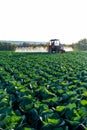 Pesticide sprayer tractor field farmer vegetables cabbage harvest greens Royalty Free Stock Photo