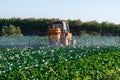 Pesticide sprayer tractor field farmer vegetables cabbage harvest greens Royalty Free Stock Photo